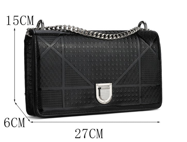 Large Glossy Stylish vior Bag
