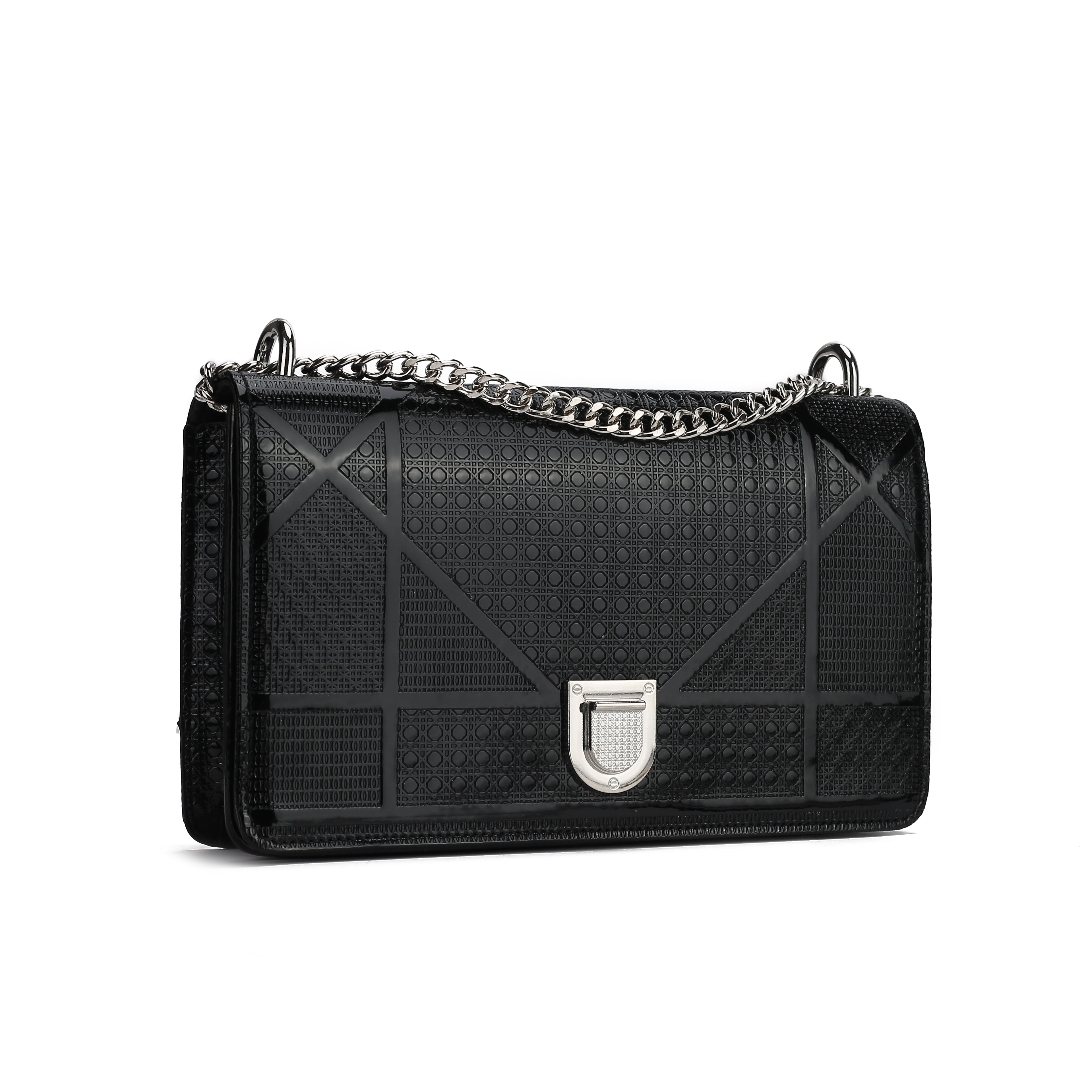 Large Glossy Stylish vior Bag