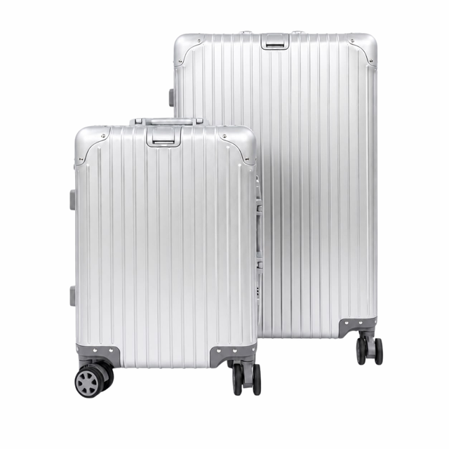 Silver Titan 2-Piece Luggage Combo