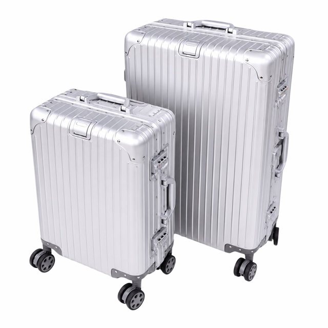Silver Titan 2-Piece Luggage Combo